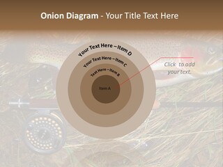 A Fish On The Ground Next To A Fishing Rod PowerPoint Template