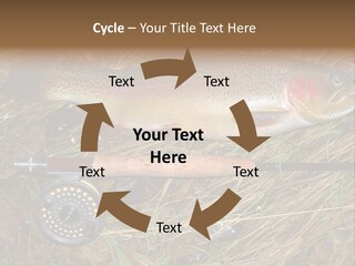 A Fish On The Ground Next To A Fishing Rod PowerPoint Template