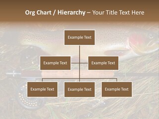 A Fish On The Ground Next To A Fishing Rod PowerPoint Template