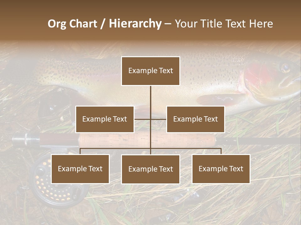 A Fish On The Ground Next To A Fishing Rod PowerPoint Template