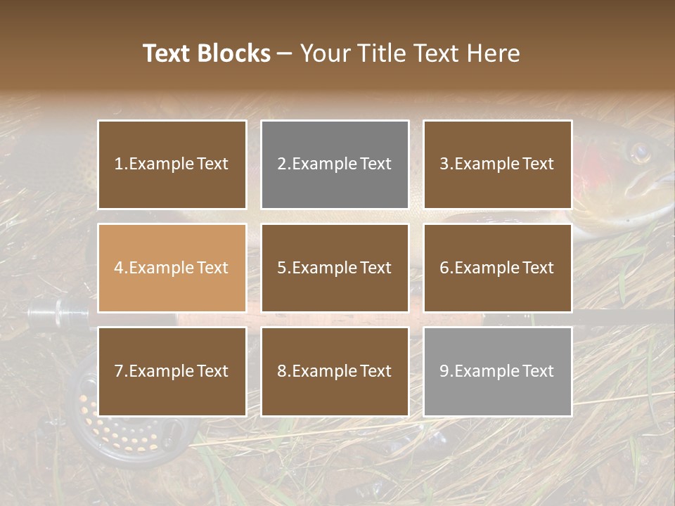 A Fish On The Ground Next To A Fishing Rod PowerPoint Template