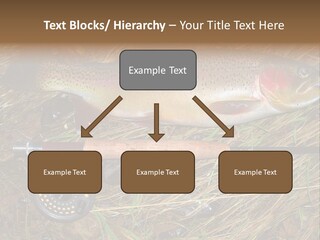 A Fish On The Ground Next To A Fishing Rod PowerPoint Template