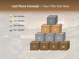 A Fish On The Ground Next To A Fishing Rod PowerPoint Template