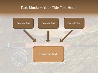 A Fish On The Ground Next To A Fishing Rod PowerPoint Template