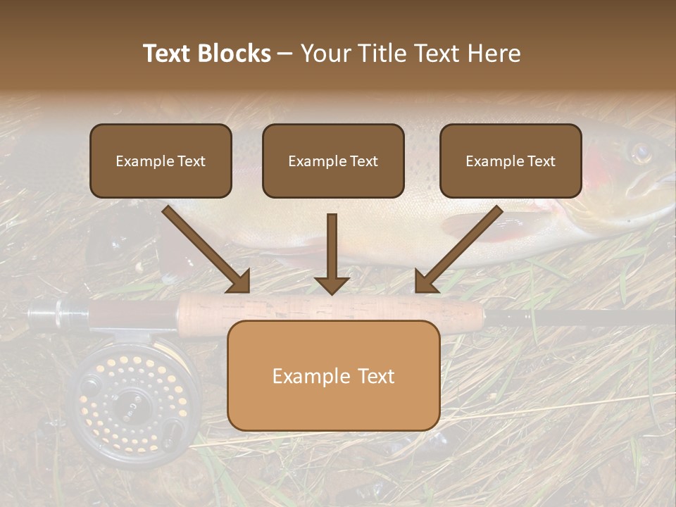 A Fish On The Ground Next To A Fishing Rod PowerPoint Template