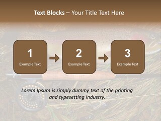 A Fish On The Ground Next To A Fishing Rod PowerPoint Template