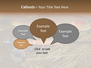 A Fish On The Ground Next To A Fishing Rod PowerPoint Template