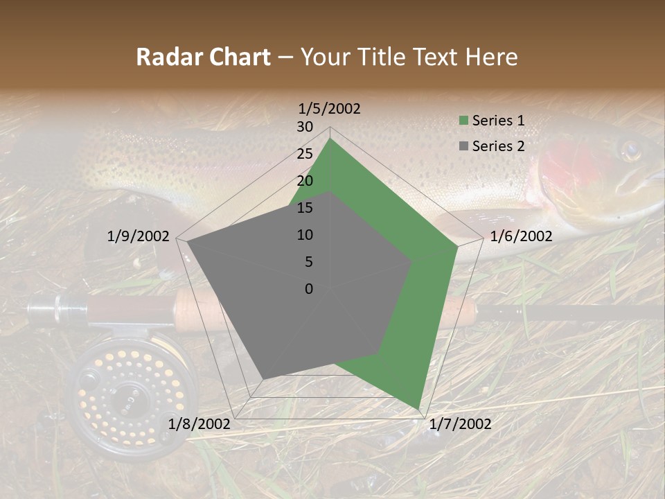 A Fish On The Ground Next To A Fishing Rod PowerPoint Template