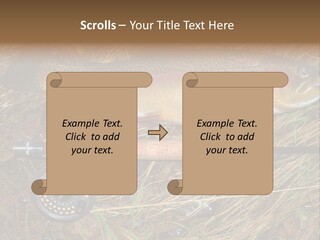 A Fish On The Ground Next To A Fishing Rod PowerPoint Template