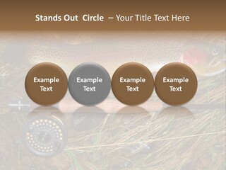 A Fish On The Ground Next To A Fishing Rod PowerPoint Template