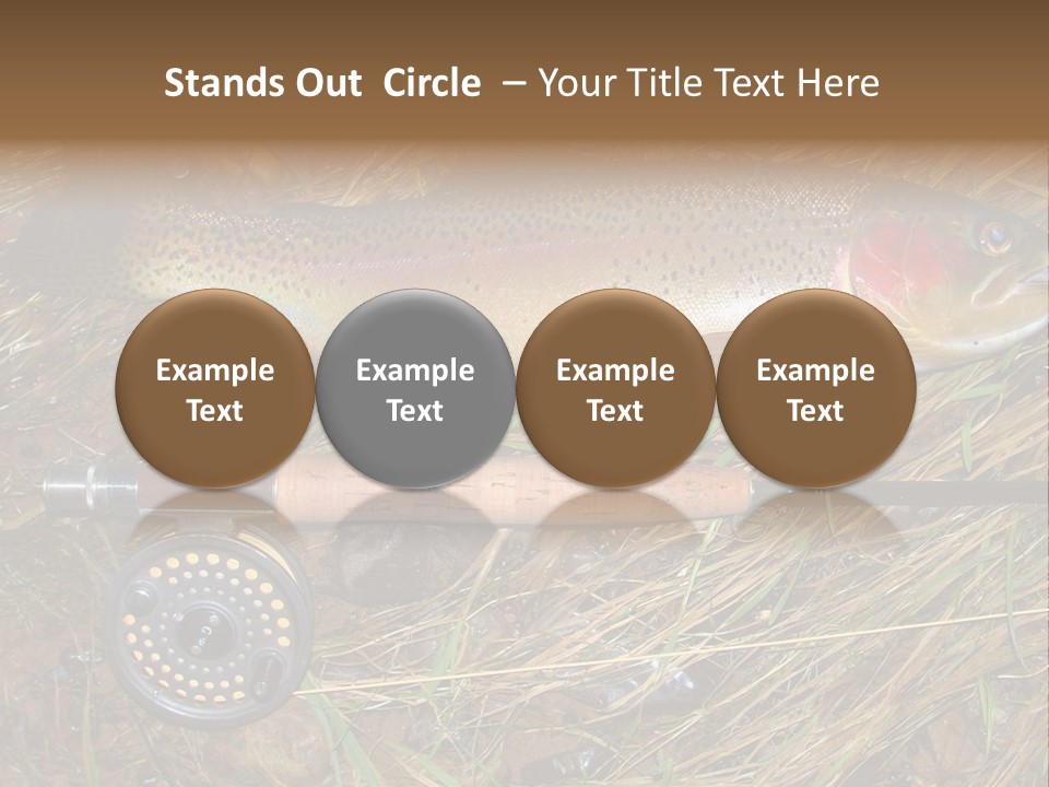 A Fish On The Ground Next To A Fishing Rod PowerPoint Template