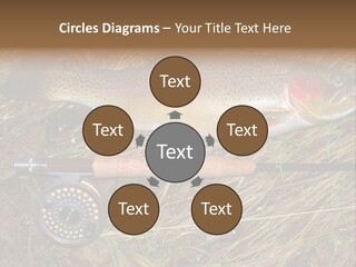 A Fish On The Ground Next To A Fishing Rod PowerPoint Template