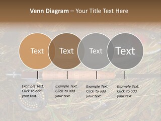 A Fish On The Ground Next To A Fishing Rod PowerPoint Template