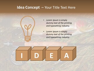 A Fish On The Ground Next To A Fishing Rod PowerPoint Template