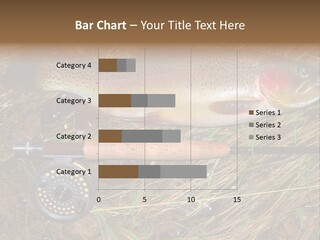 A Fish On The Ground Next To A Fishing Rod PowerPoint Template