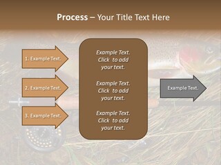 A Fish On The Ground Next To A Fishing Rod PowerPoint Template