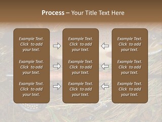 A Fish On The Ground Next To A Fishing Rod PowerPoint Template