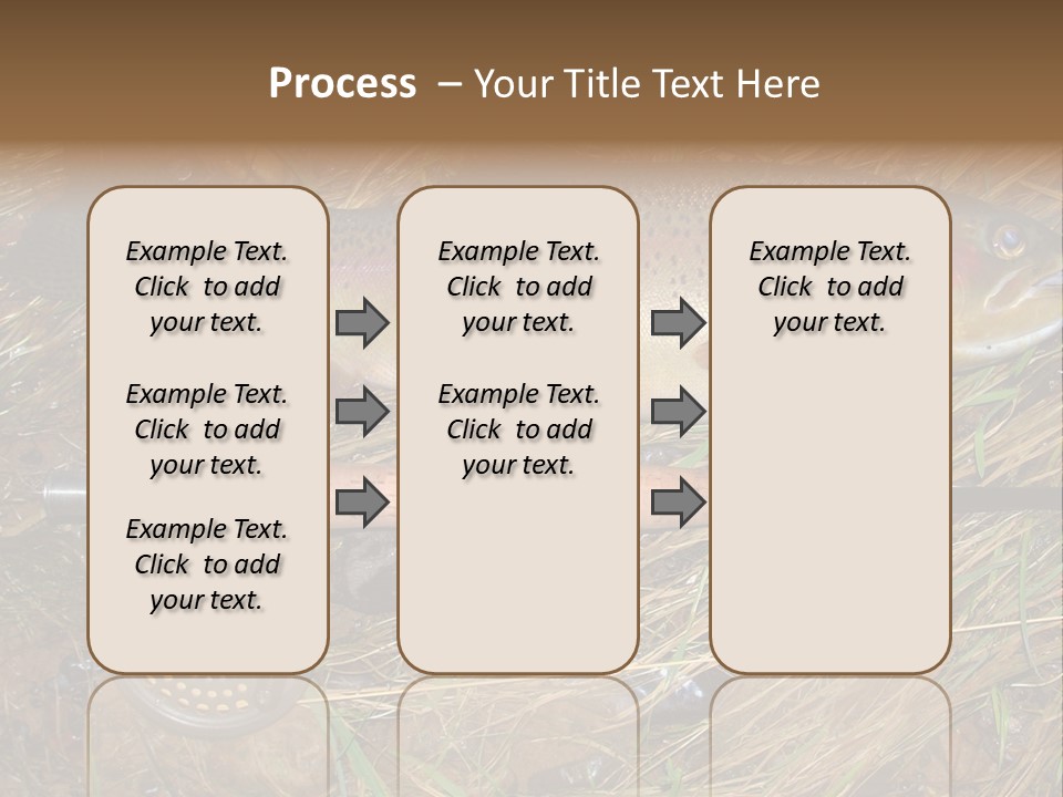 A Fish On The Ground Next To A Fishing Rod PowerPoint Template