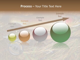 A Fish On The Ground Next To A Fishing Rod PowerPoint Template