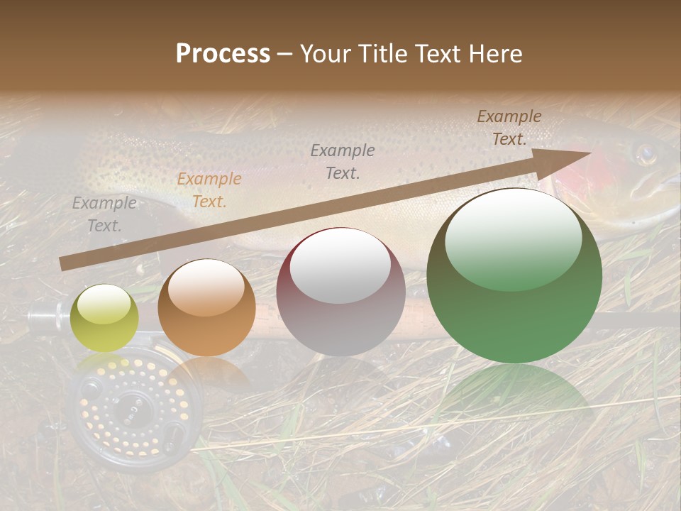 A Fish On The Ground Next To A Fishing Rod PowerPoint Template