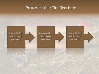 A Fish On The Ground Next To A Fishing Rod PowerPoint Template