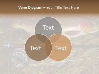 A Fish On The Ground Next To A Fishing Rod PowerPoint Template