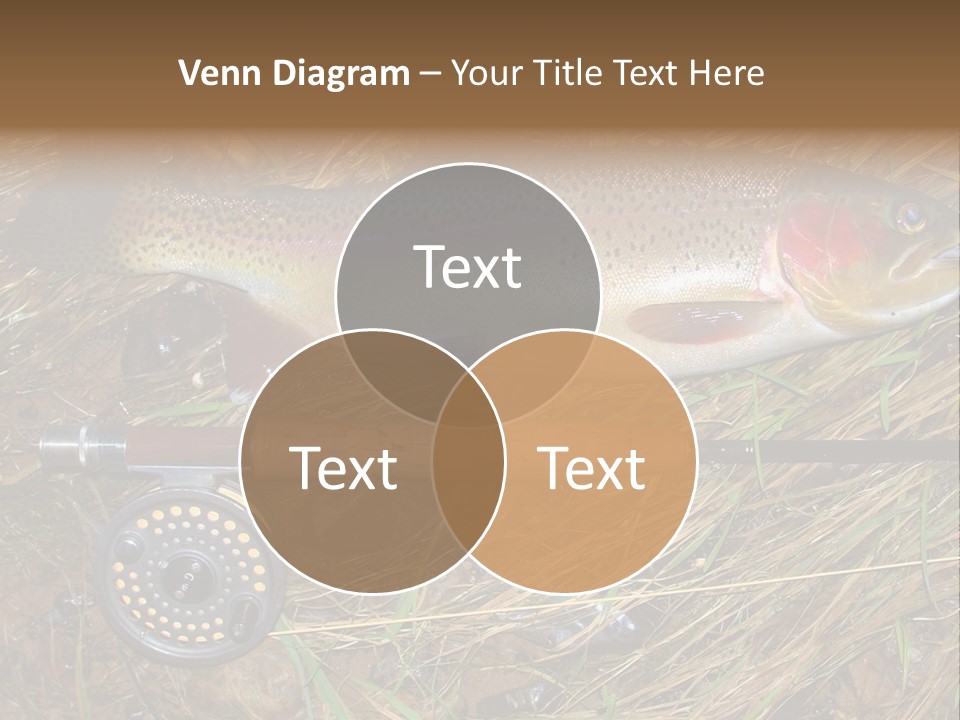 A Fish On The Ground Next To A Fishing Rod PowerPoint Template