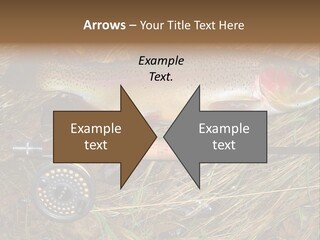 A Fish On The Ground Next To A Fishing Rod PowerPoint Template