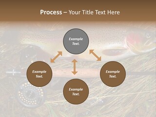 A Fish On The Ground Next To A Fishing Rod PowerPoint Template