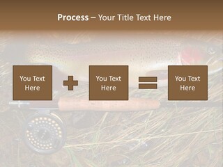 A Fish On The Ground Next To A Fishing Rod PowerPoint Template