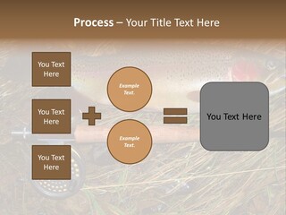 A Fish On The Ground Next To A Fishing Rod PowerPoint Template