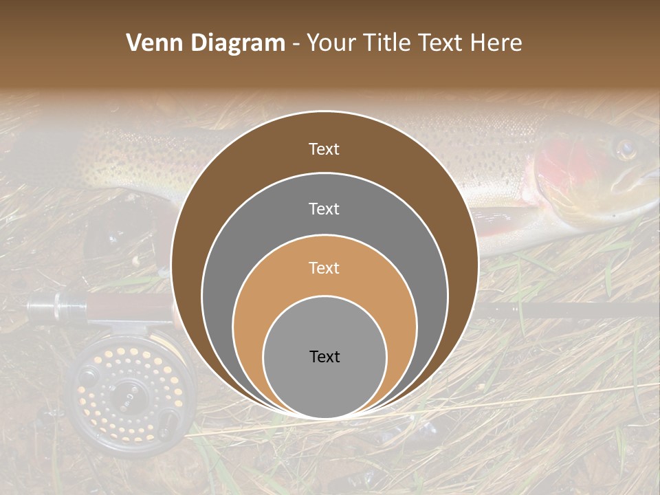 A Fish On The Ground Next To A Fishing Rod PowerPoint Template