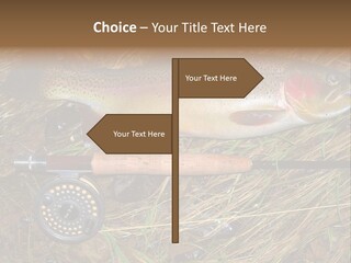 A Fish On The Ground Next To A Fishing Rod PowerPoint Template