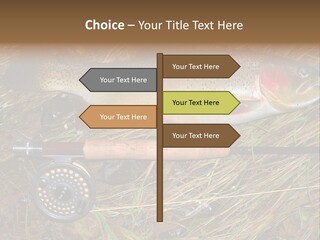 A Fish On The Ground Next To A Fishing Rod PowerPoint Template