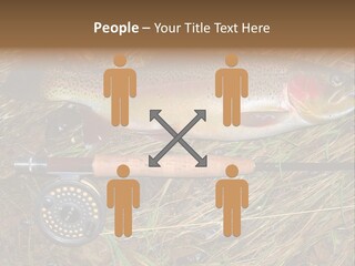 A Fish On The Ground Next To A Fishing Rod PowerPoint Template