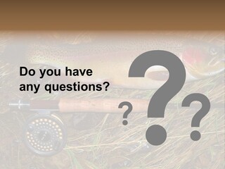 A Fish On The Ground Next To A Fishing Rod PowerPoint Template