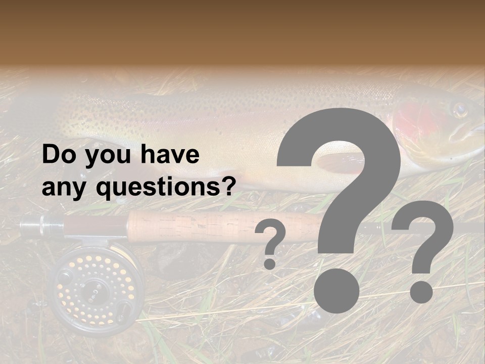 A Fish On The Ground Next To A Fishing Rod PowerPoint Template