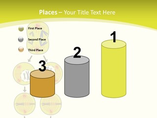 Organelle Cycle Tissue PowerPoint Template