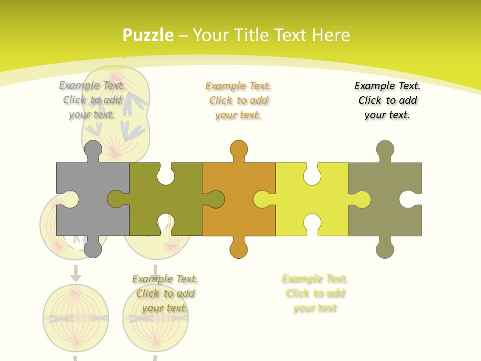 Organelle Cycle Tissue PowerPoint Template