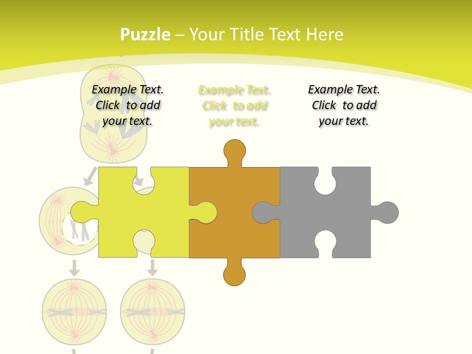 Organelle Cycle Tissue PowerPoint Template