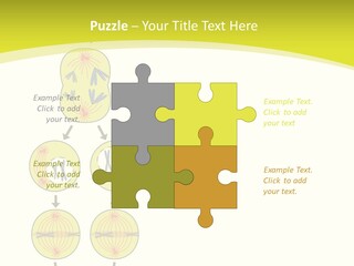 Organelle Cycle Tissue PowerPoint Template