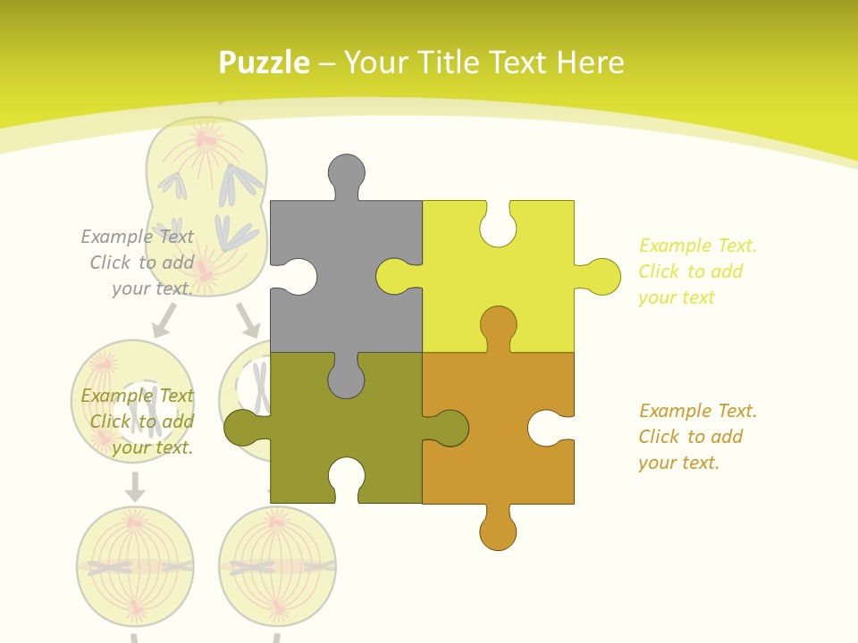 Organelle Cycle Tissue PowerPoint Template
