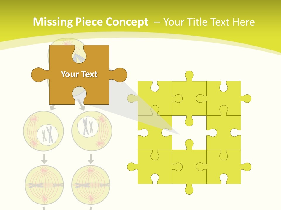 Organelle Cycle Tissue PowerPoint Template
