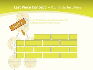 Organelle Cycle Tissue PowerPoint Template