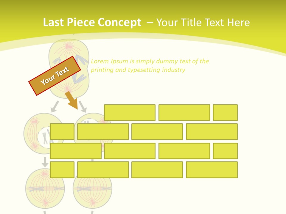 Organelle Cycle Tissue PowerPoint Template