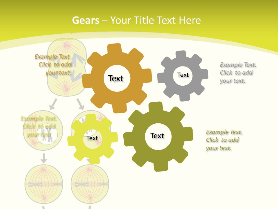 Organelle Cycle Tissue PowerPoint Template