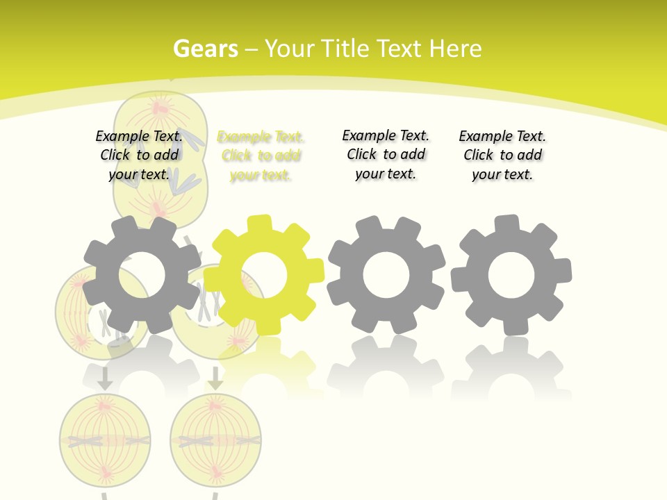 Organelle Cycle Tissue PowerPoint Template