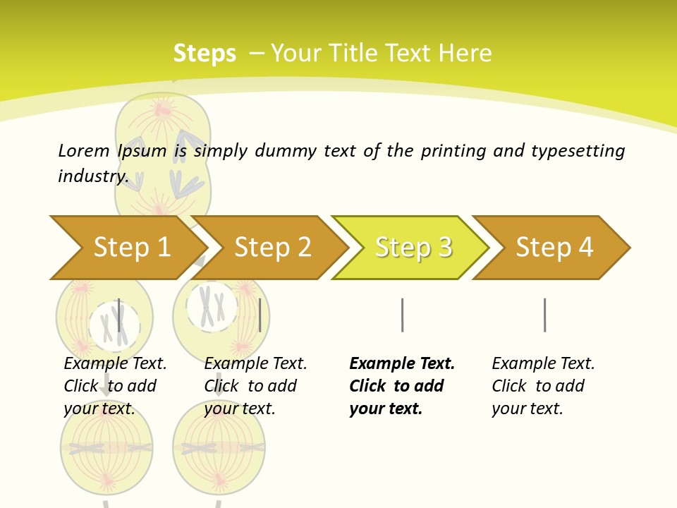Organelle Cycle Tissue PowerPoint Template