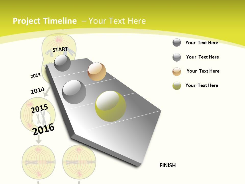 Organelle Cycle Tissue PowerPoint Template