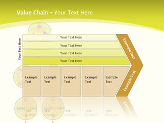 Organelle Cycle Tissue PowerPoint Template